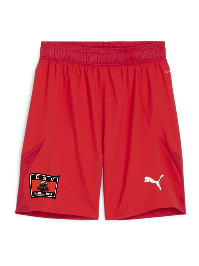 PUMA teamFINAL Shorts