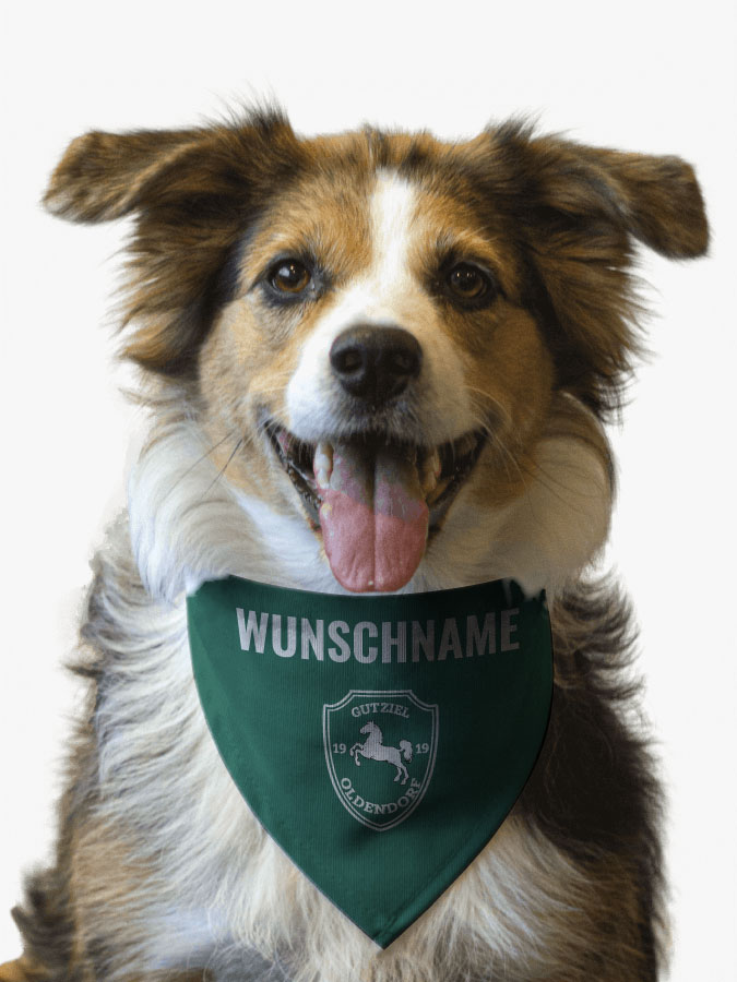 Hundehalstuch