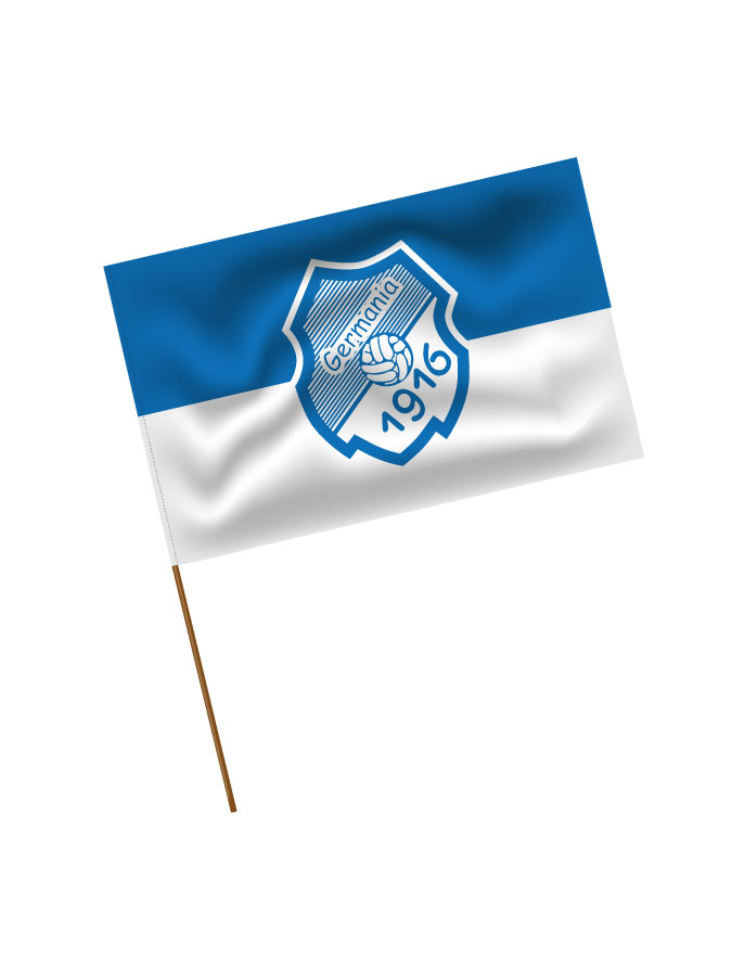 Stadionfahne Logo