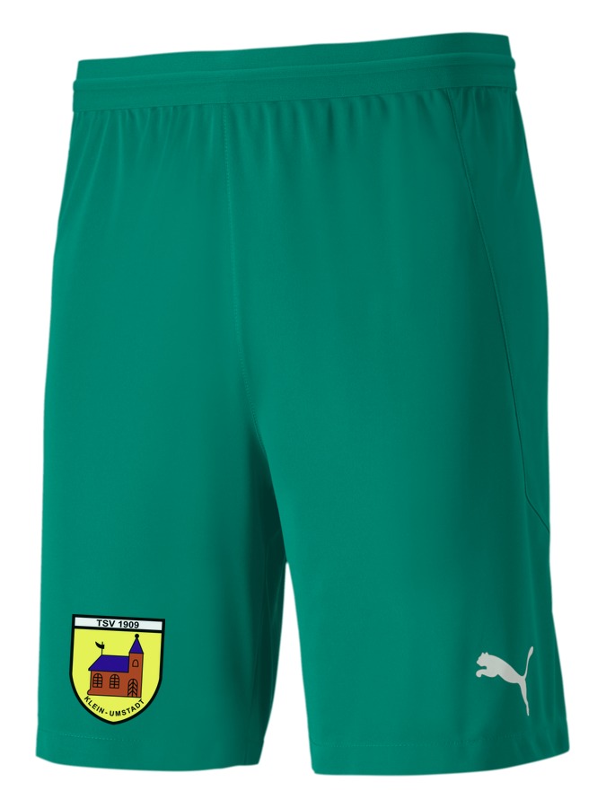 PUMA teamFINAL 21 Knit Shorts