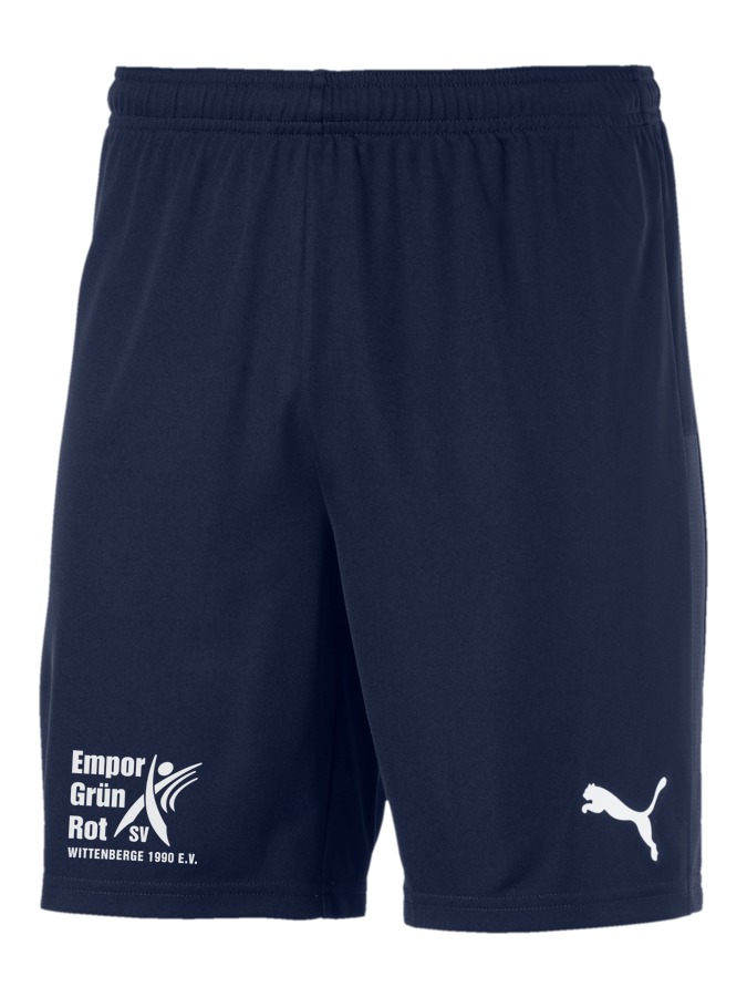PUMA teamGOAL 23 Knit Shorts