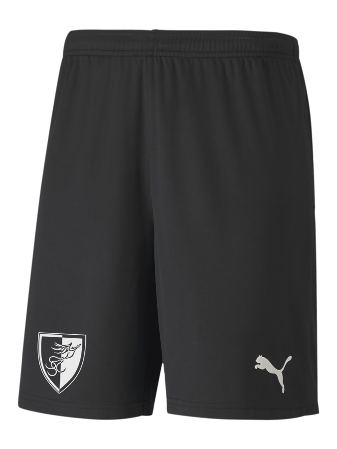 PUMA teamGOAL 23 Knit Shorts
