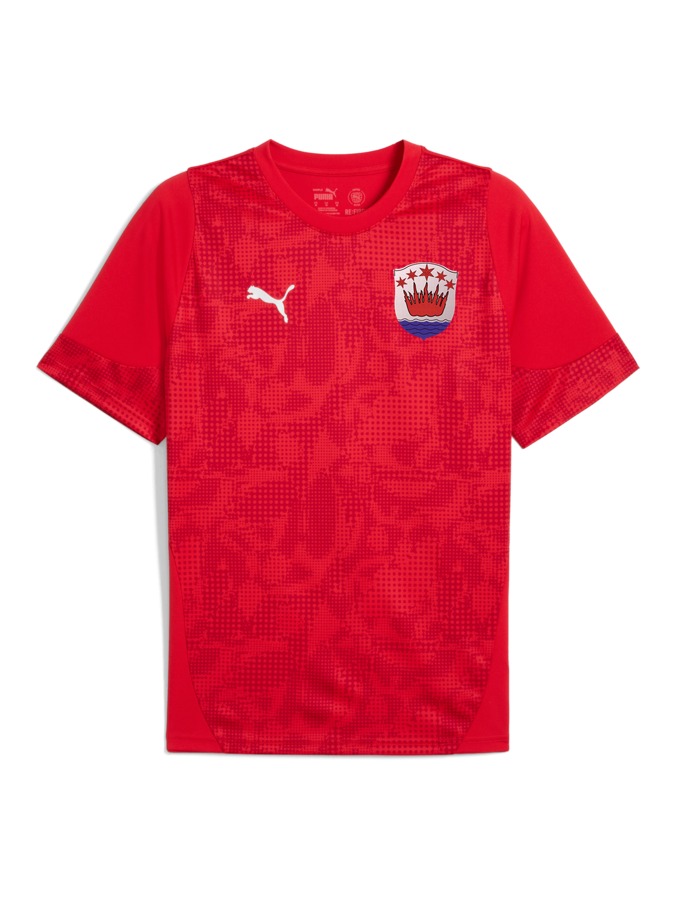 PUMA teamCUP Trainingsshirt