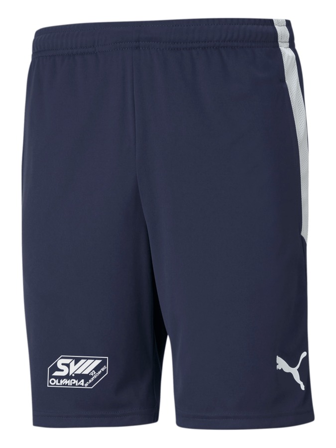 PUMA teamLIGA Training Shorts
