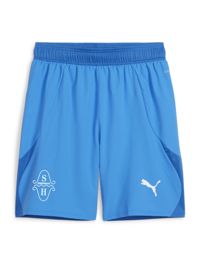 PUMA teamFINAL Shorts