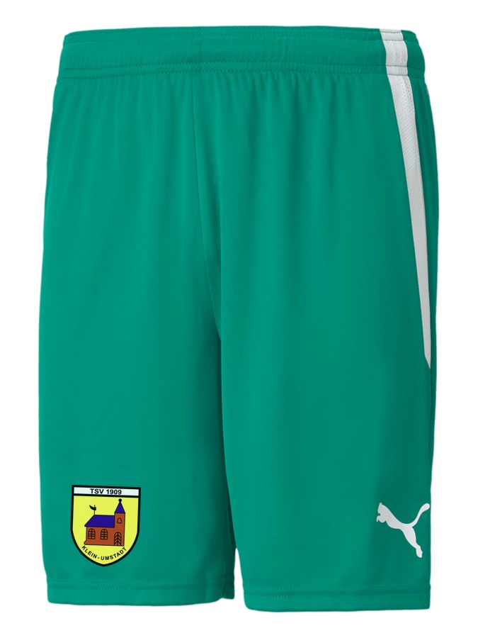 PUMA teamLIGA Shorts