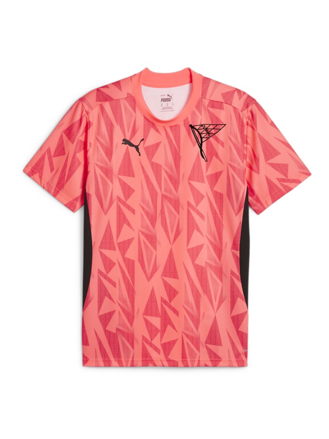 PUMA individualFINAL Trikot