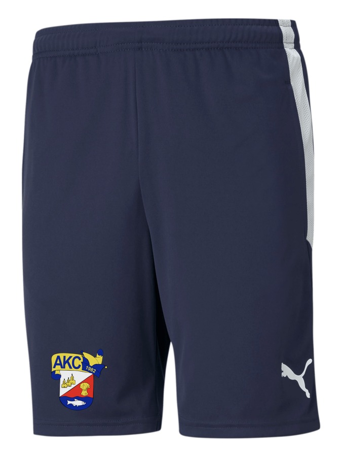 PUMA teamLIGA Training Shorts