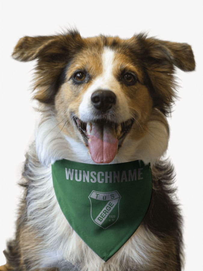 Hundehalstuch