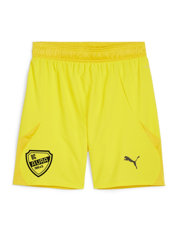 PUMA teamFINAL Shorts