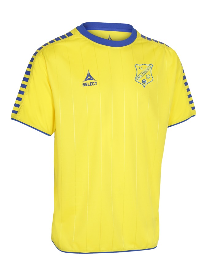 Select Argentina Trikot