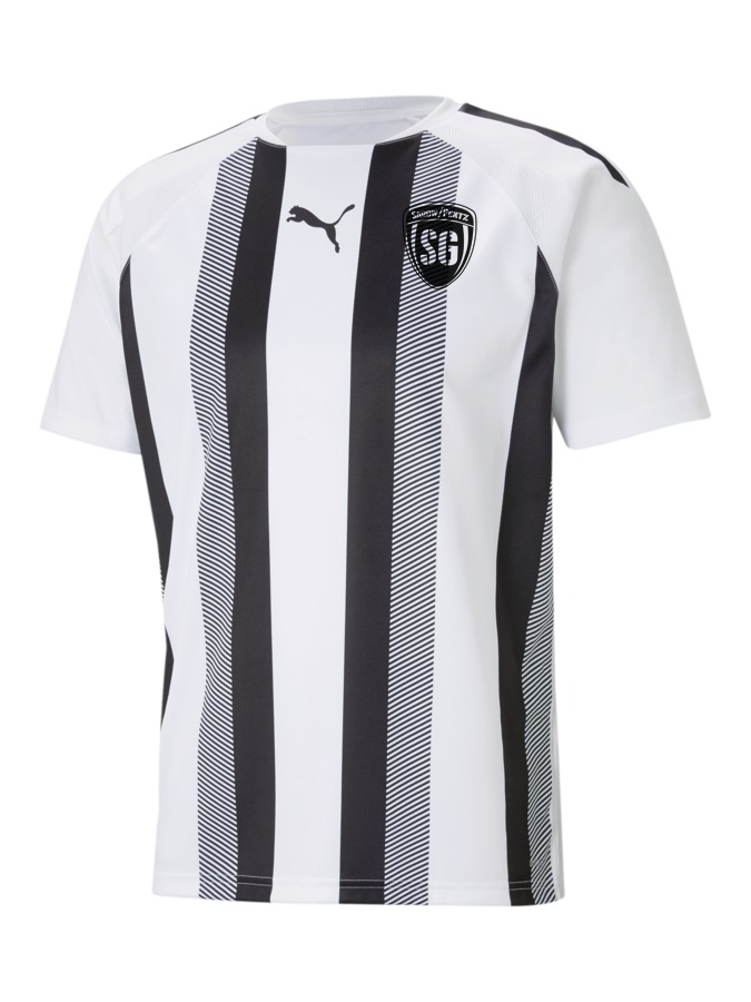 PUMA teamLIGA Striped Trikot