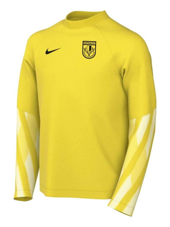 Nike Dri-FIT Park V Torwart Trikot Langarm Kinder