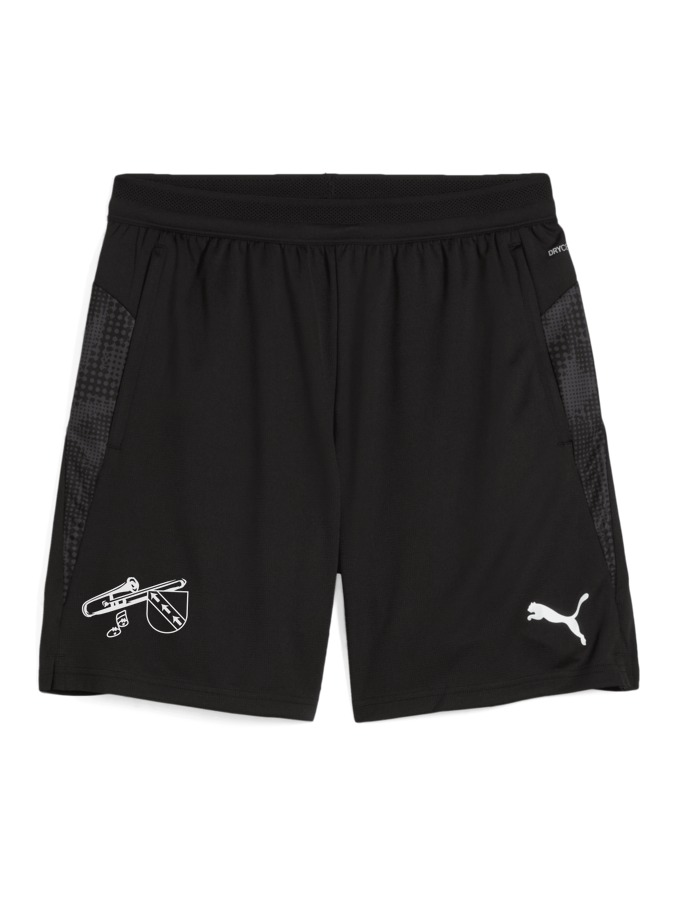 PUMA teamCUP Training Shorts