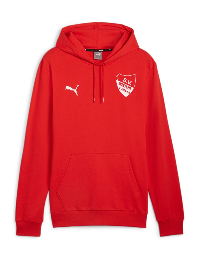 PUMA teamGOAL Casuals Hoody