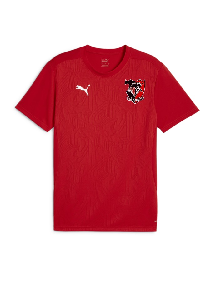 PUMA teamFINAL Trainingsshirt