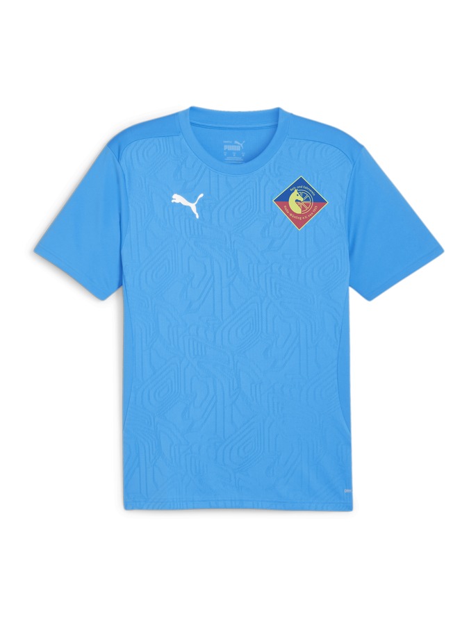 PUMA teamFINAL Trainingsshirt