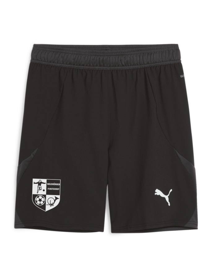 PUMA teamFINAL Shorts