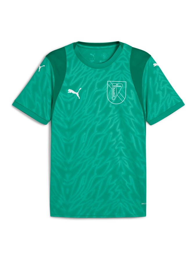 PUMA teamCUP Trikot