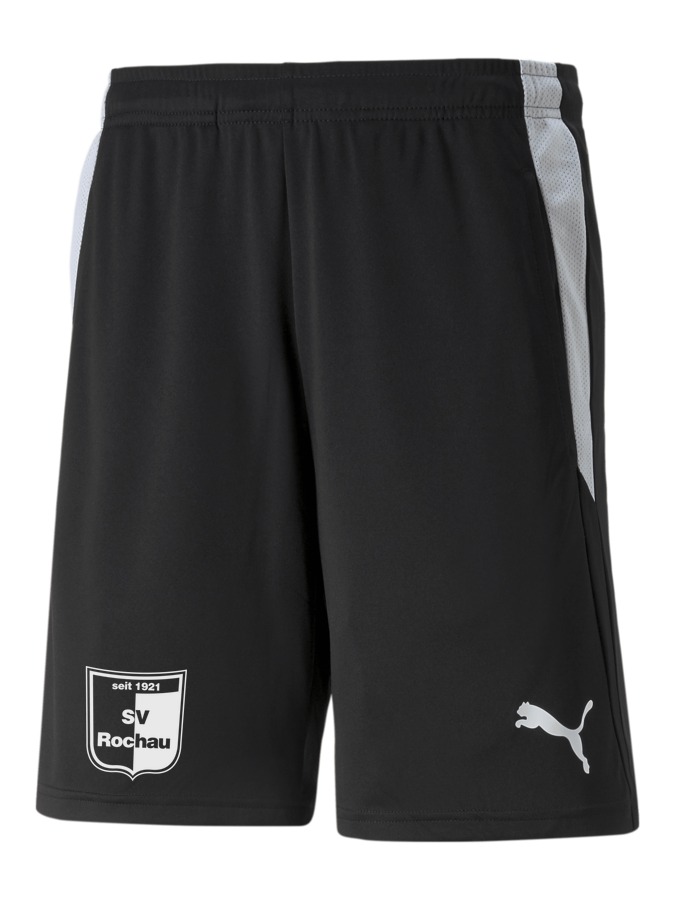 PUMA teamLIGA Referee Shorts