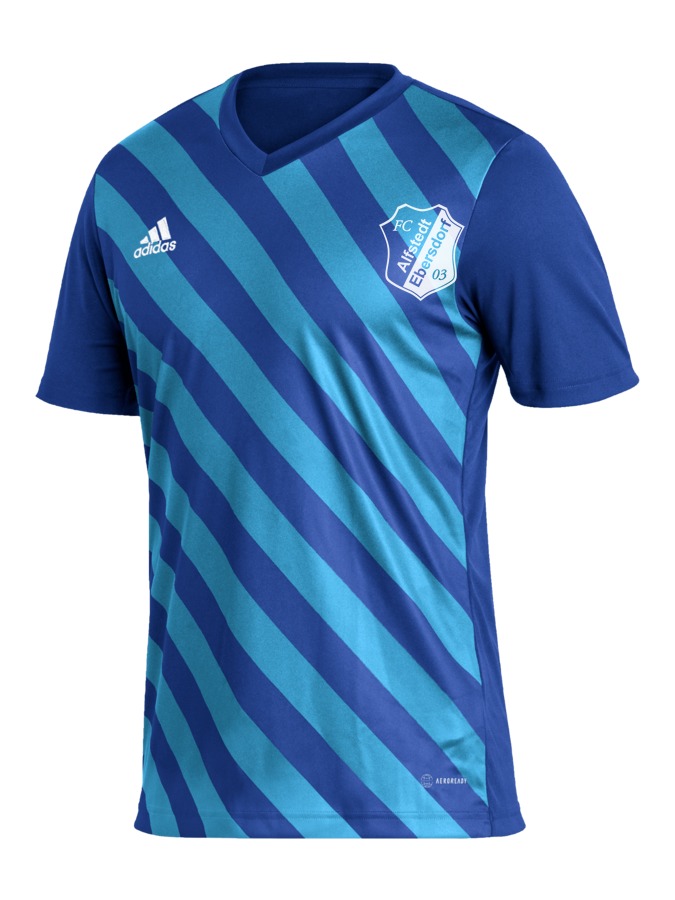adidas Entrada 22 GFX Trikot