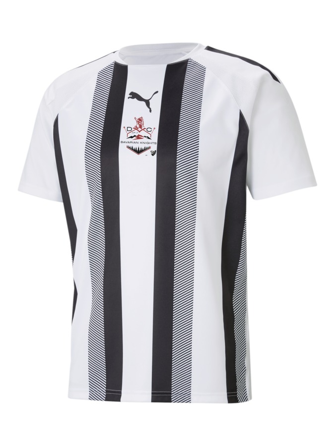 PUMA teamLIGA Striped Trikot