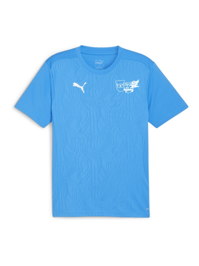 PUMA teamFINAL Trainingsshirt