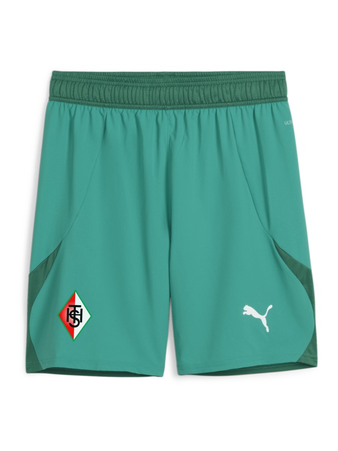PUMA teamFINAL Shorts