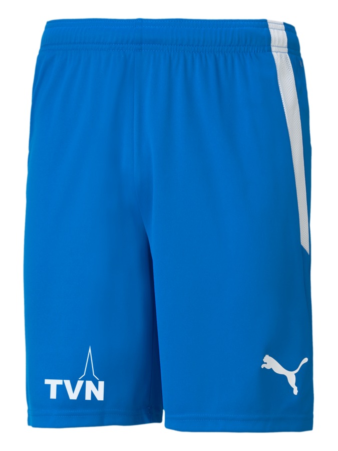 PUMA teamLIGA Shorts
