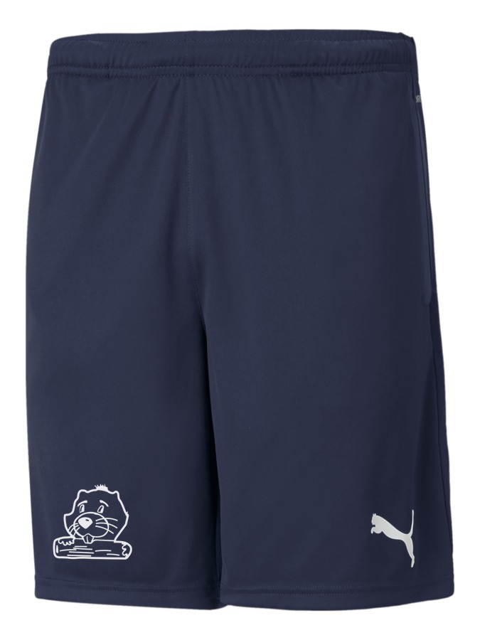 PUMA teamRISE Training Shorts