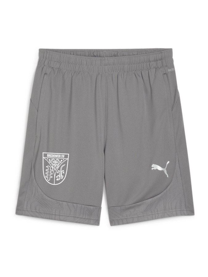 PUMA teamFINAL Training Shorts