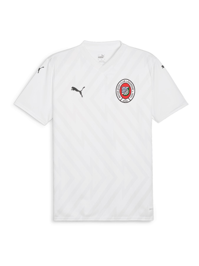 PUMA teamGLORY Trikot
