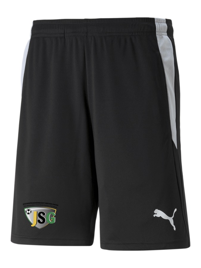 PUMA teamLIGA Referee Shorts
