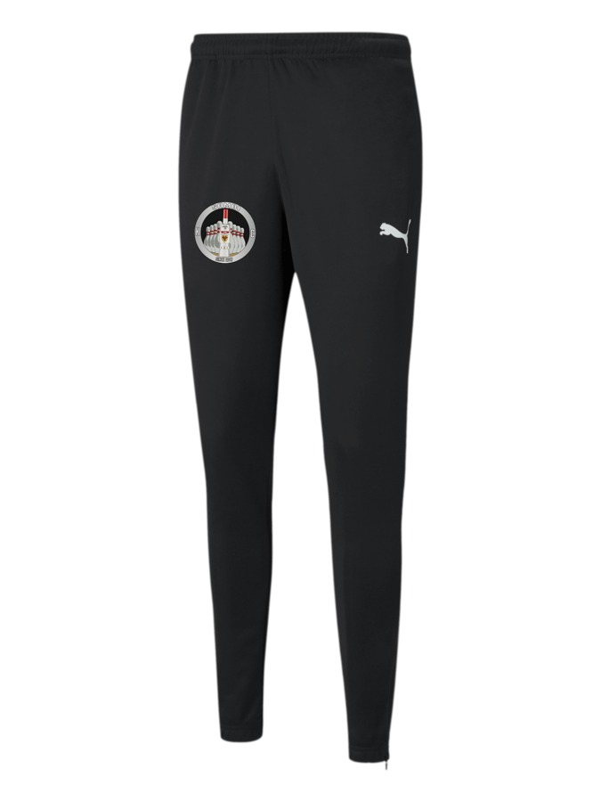 PUMA teamRISE Poly Trainingshose