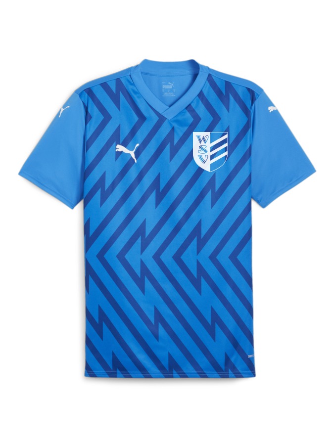 PUMA teamGLORY Trikot