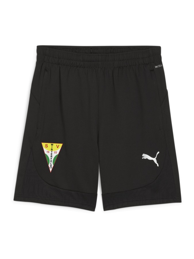 PUMA teamFINAL Training Shorts