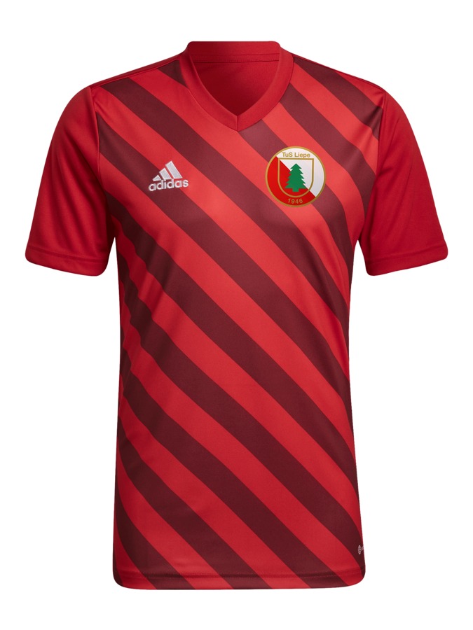 adidas Entrada 22 GFX Trikot