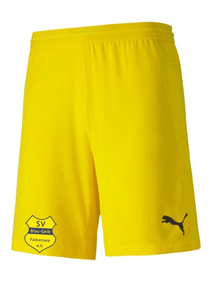 PUMA teamFINAL 21 Knit Shorts