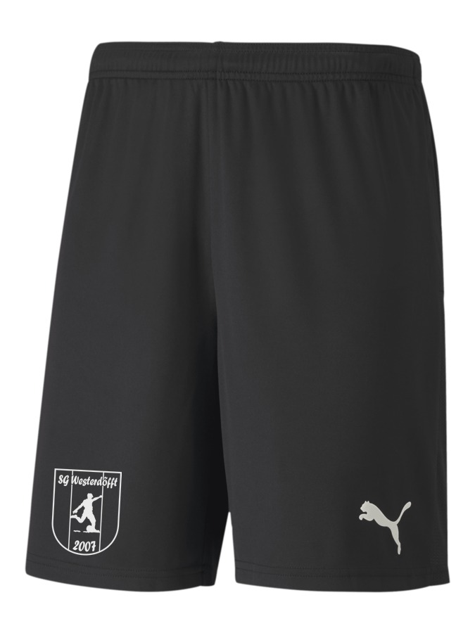 PUMA teamGOAL 23 Knit Shorts