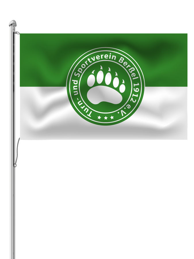 Hissfahne Logo