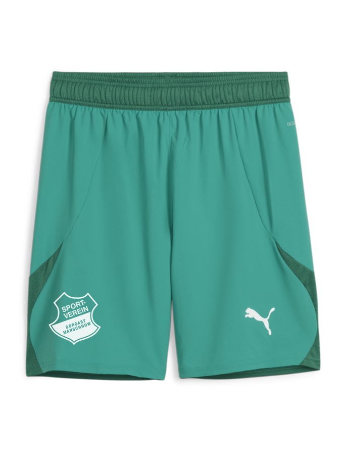 PUMA teamFINAL Shorts