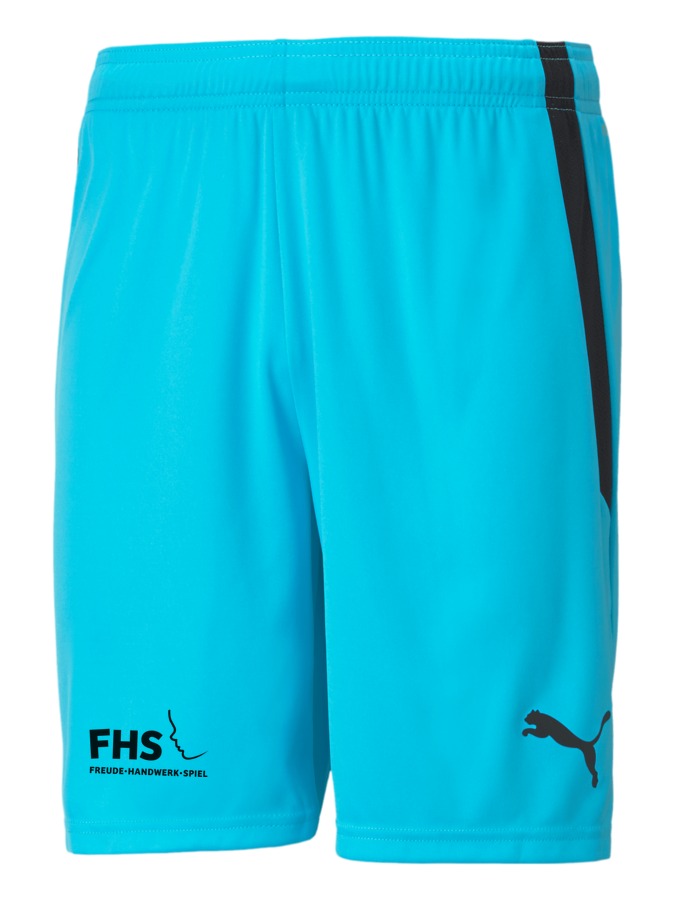 PUMA teamLIGA Shorts