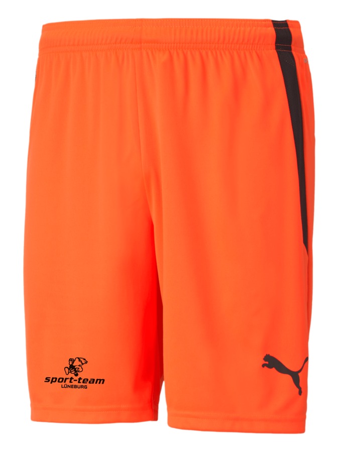 PUMA teamLIGA Shorts
