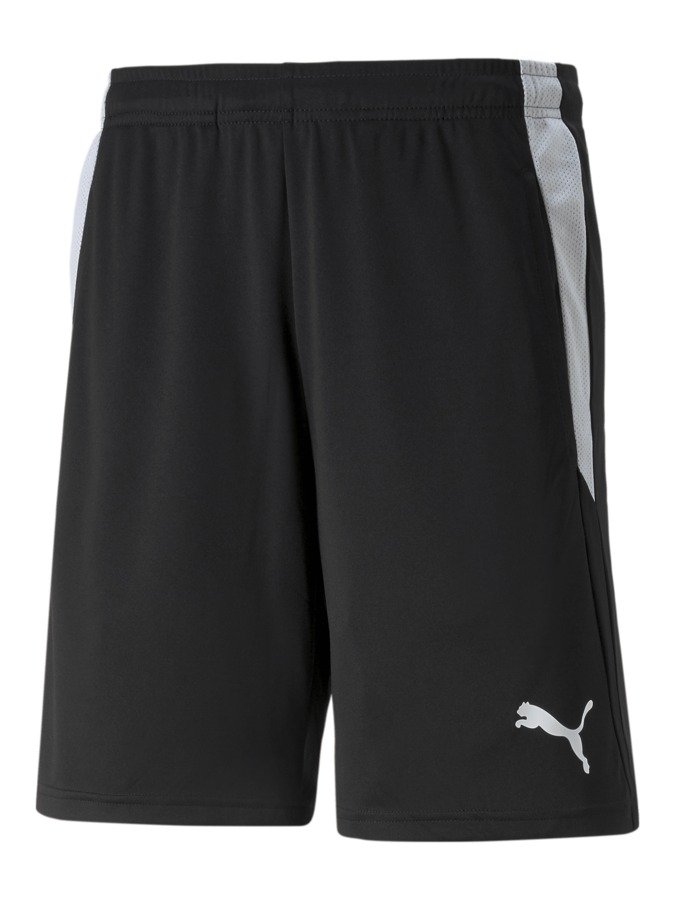 PUMA teamLIGA Referee Shorts