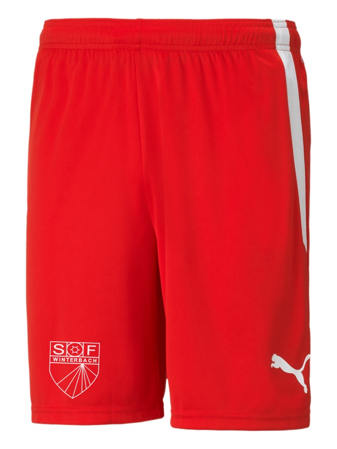 PUMA teamLIGA Shorts