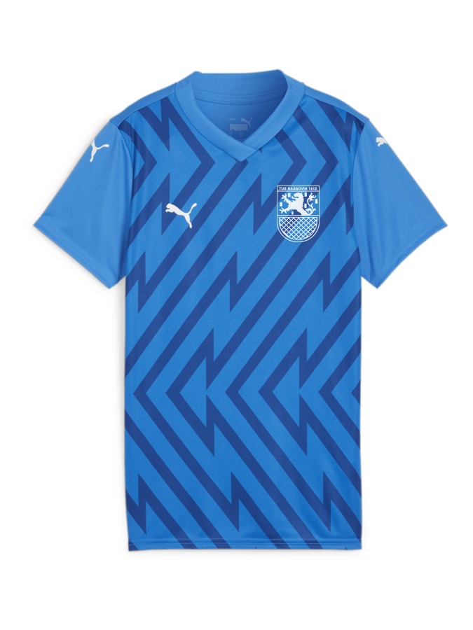 PUMA teamGLORY Trikot Damen