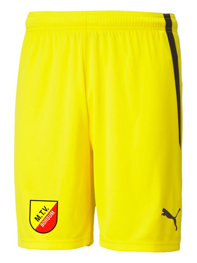 PUMA teamLIGA Shorts