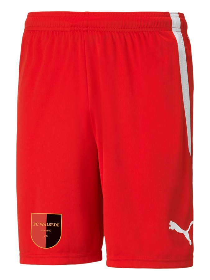 PUMA teamLIGA Shorts