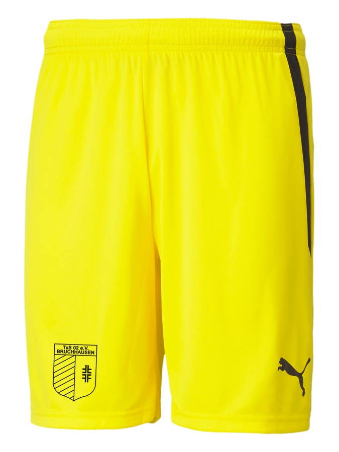 PUMA teamLIGA Shorts
