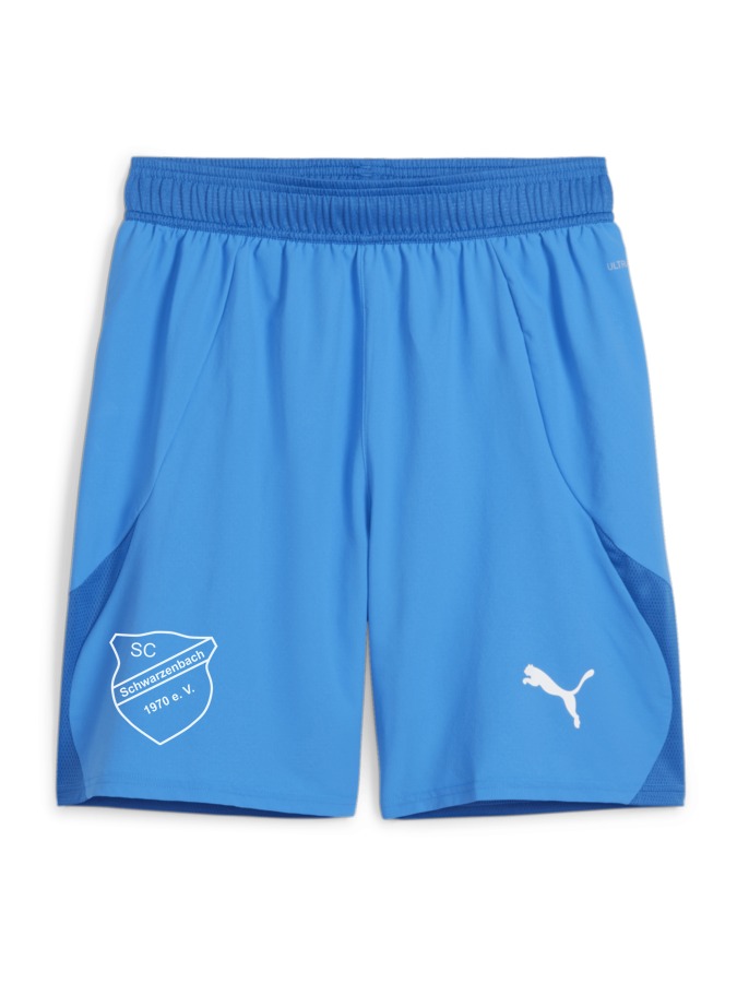 PUMA teamFINAL Shorts